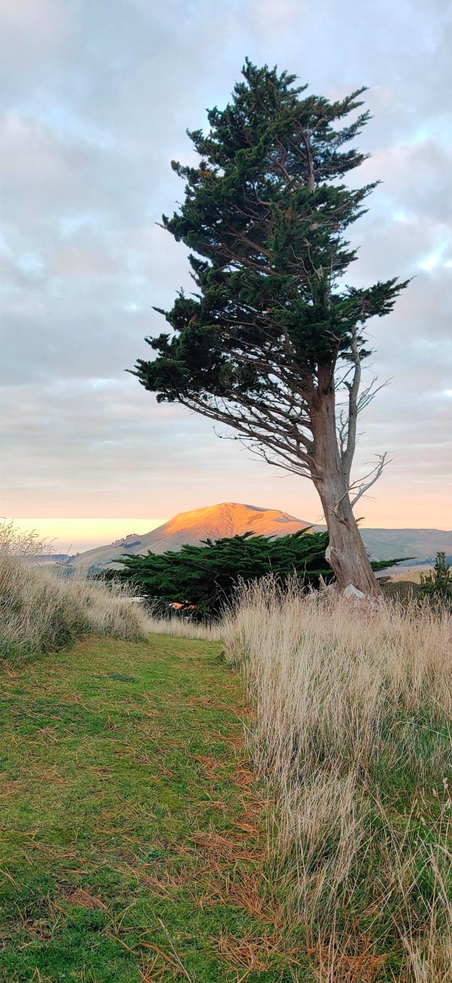 Sandymount Pukemara Retreat 아파트 외부 사진