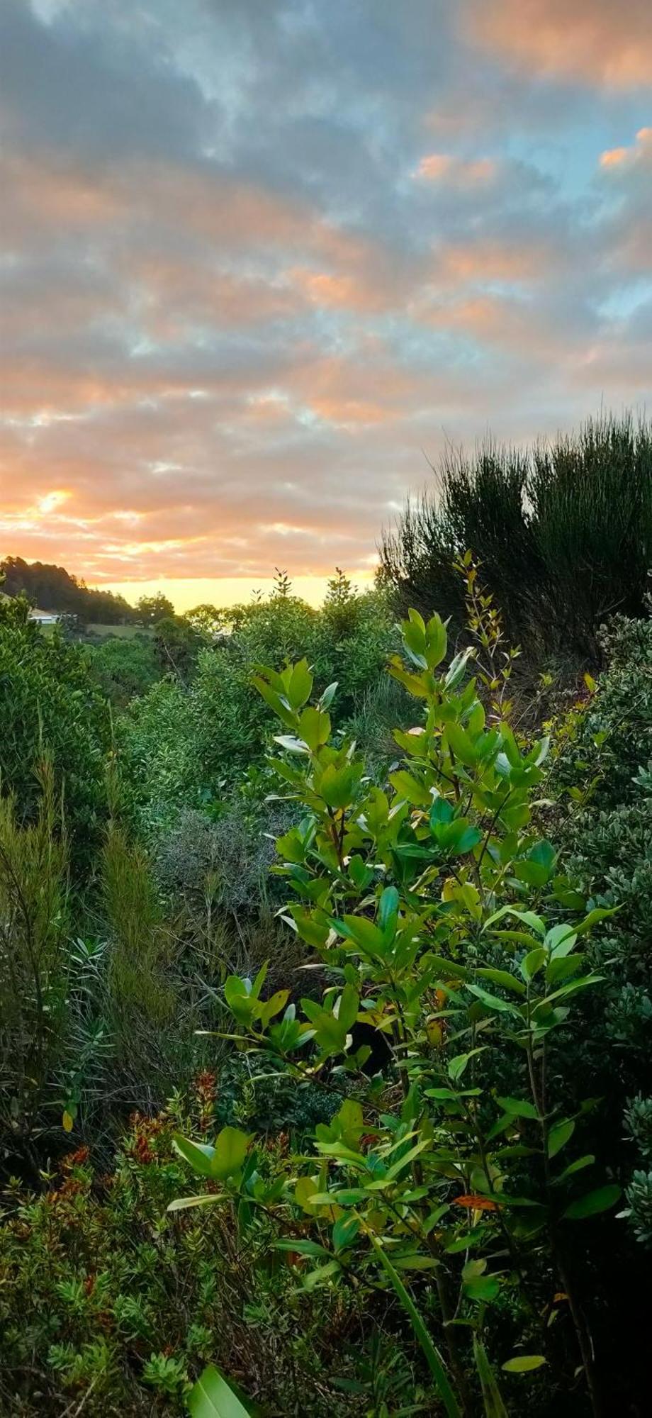 Sandymount Pukemara Retreat 아파트 외부 사진