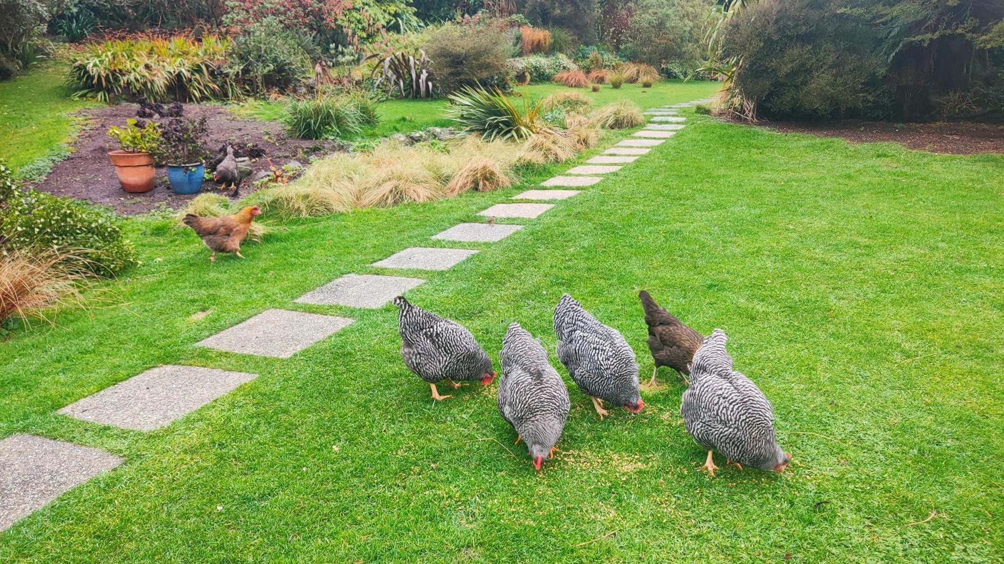 Sandymount Pukemara Retreat 아파트 외부 사진